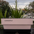 Pale Pink La Marzocco Linea With Shot Timers Commercial Coffee Machine
