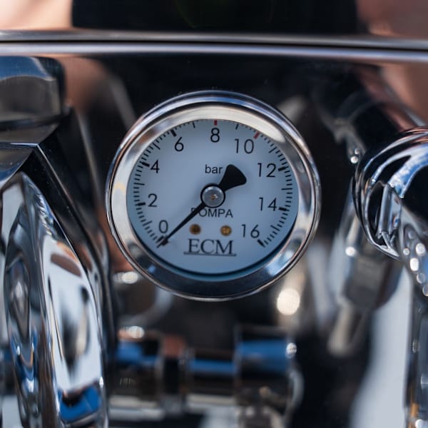 Brand New Custom ECM Technika PID – Gloss White (One of One)