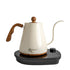 Precision Electric Gooseneck Kettle