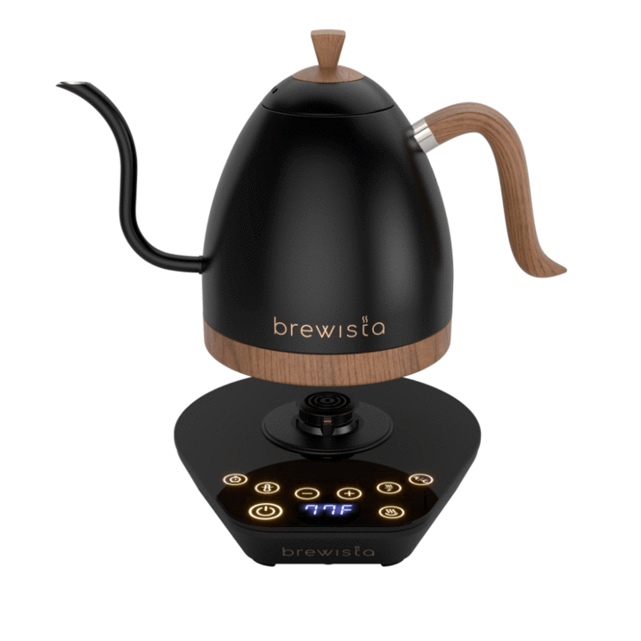 Brewista Artisan 1.0L Kettle - Matte Black