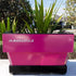 Clean 2 Group Pink La Marzocco Linea Commercial Coffee Machine